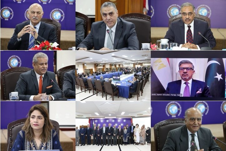 20913682-84f8-49a1-bf40-1f648bd98243-1 ISSI hosts event commemorating Egypt’s ‘Revolution Day’